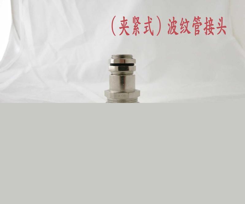 天津赛格瑞优质供应_波纹管接头（夹紧式）
